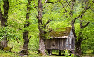 Кобулетский заповедник Испани 