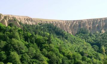 Мариамджварский заповедник